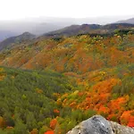 маринови *