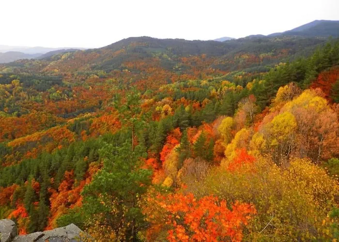 маринови Villa *